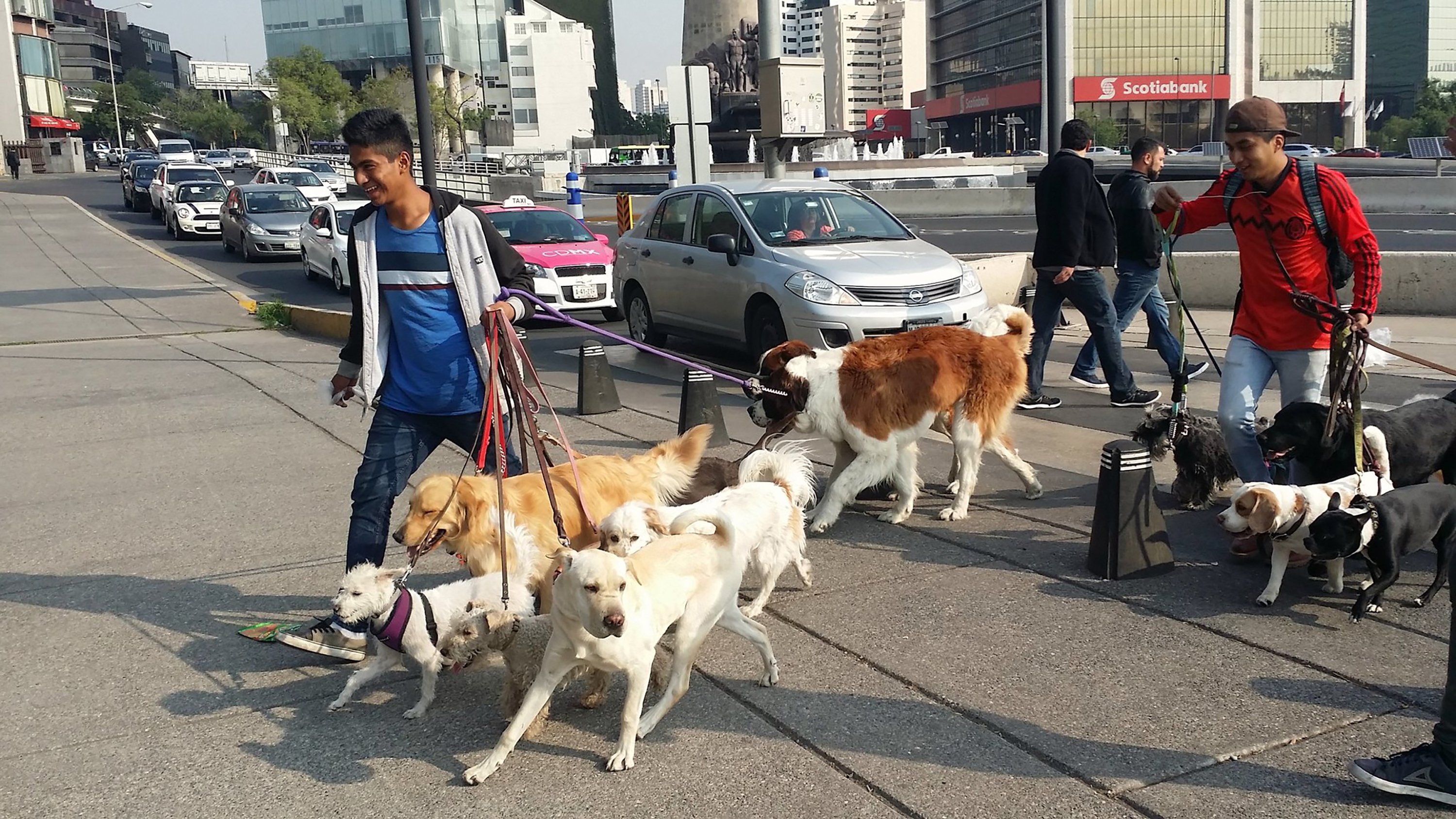 27991625275_eed54b4b34_k2