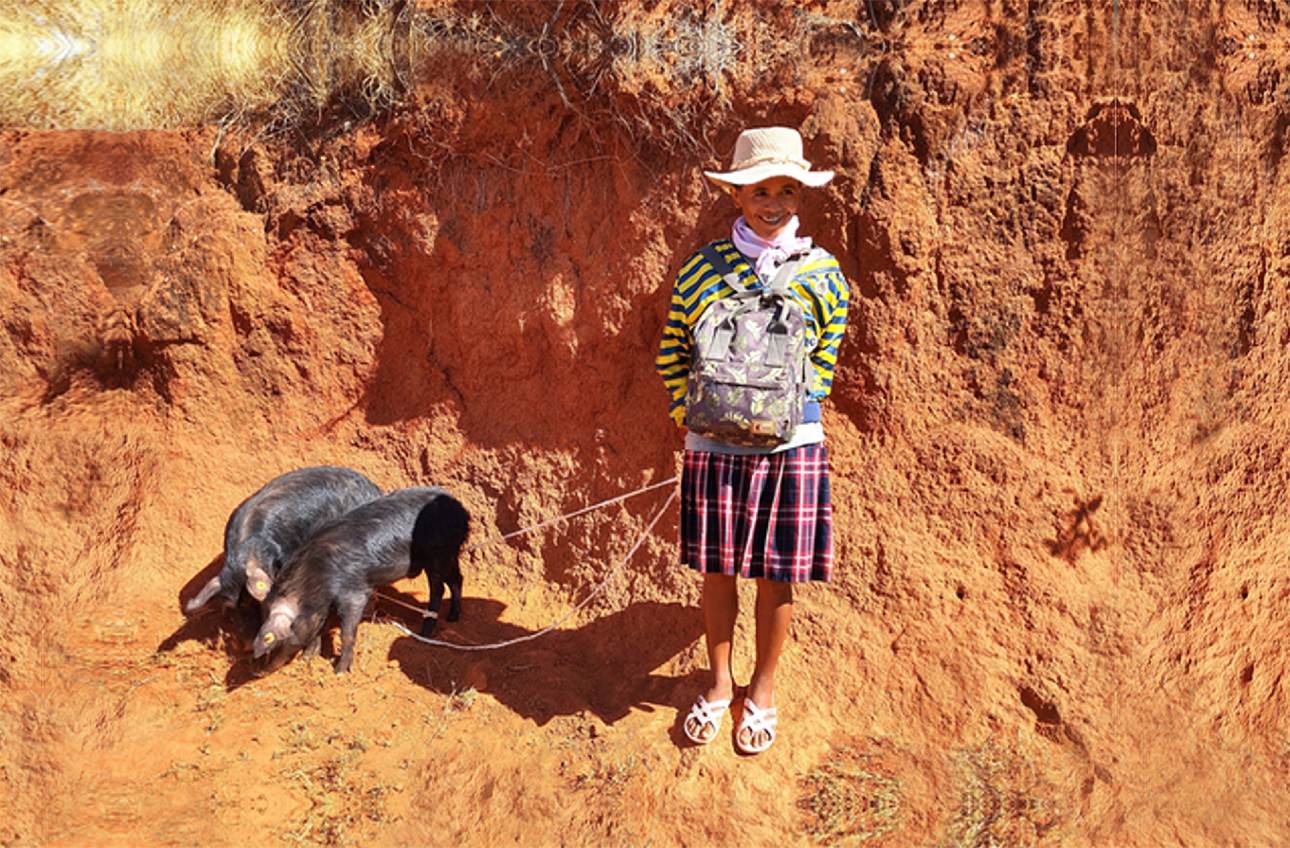 Taenia solium is a zoonotic parasite that circulates between people and pigs. In humans, it often leads to the disease neurocysticercosis, which is an important public health problem.