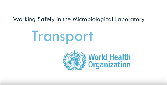 working safely transport