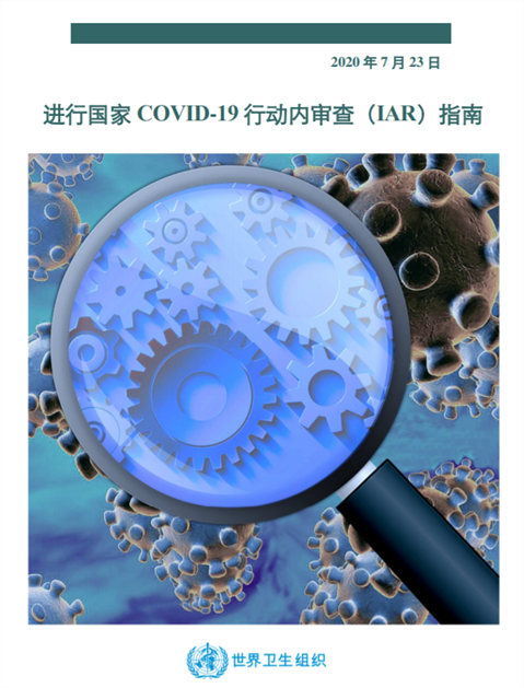 进行国家COVID-19行动内审查（IAR）指南