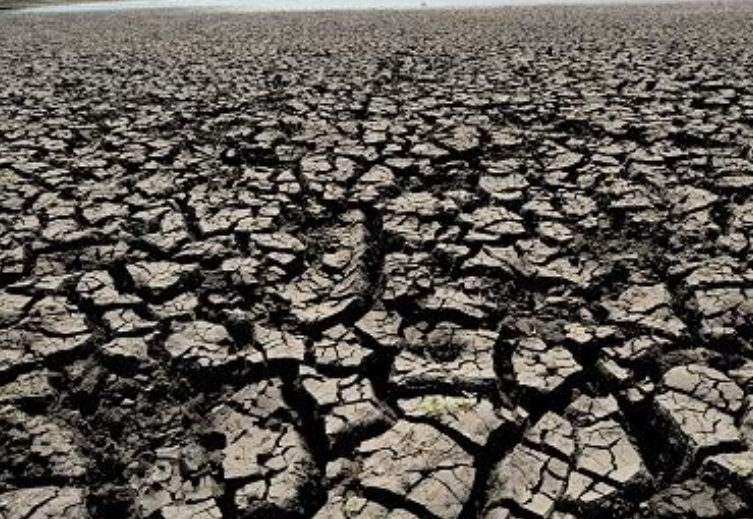 A nurse is filling a health check form at COVID-19 Clinic, Samut Sakhon Hospital to identify the symptoms of the novel coronavirus