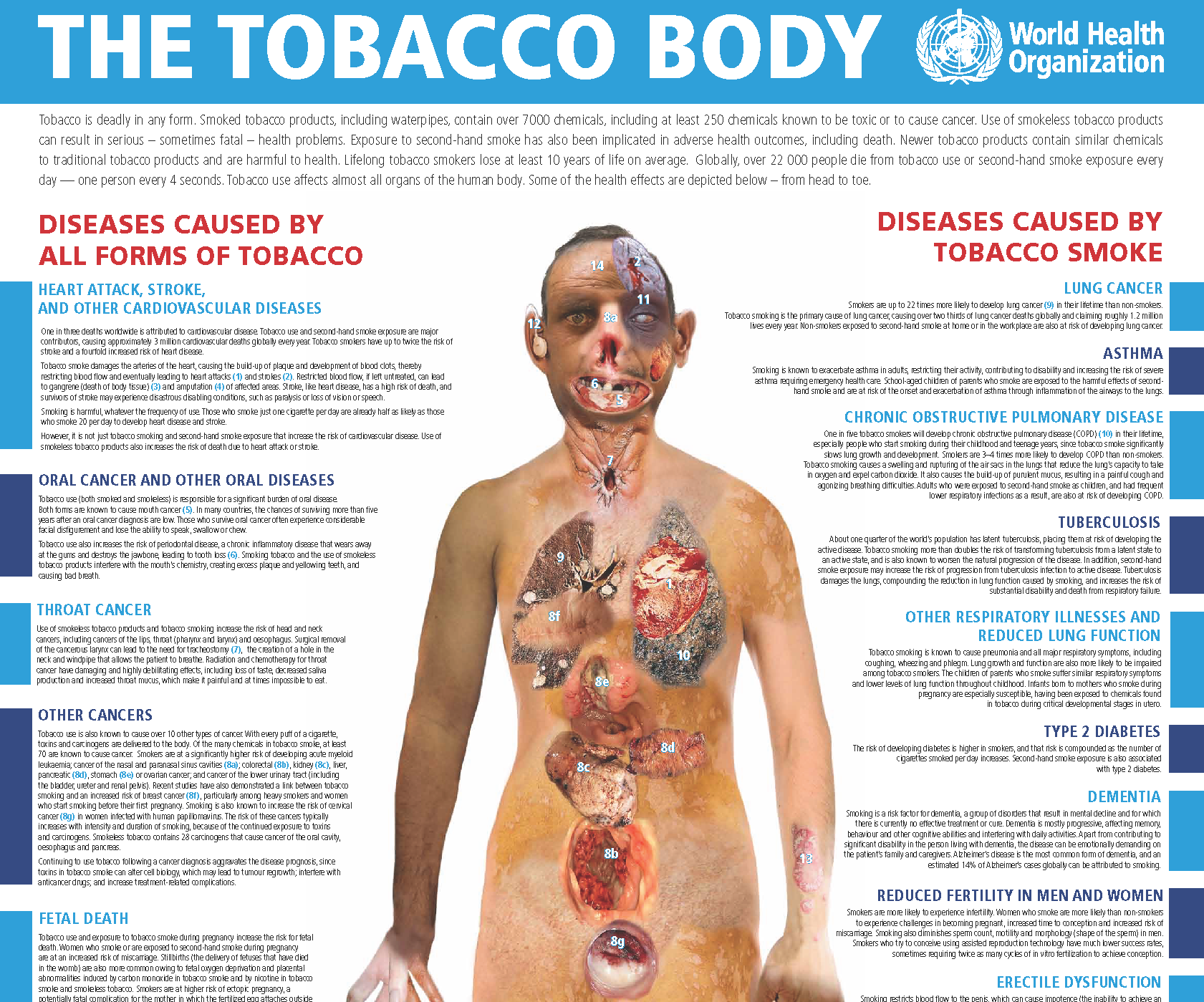 WHO-NMH-PND-19.1-eng