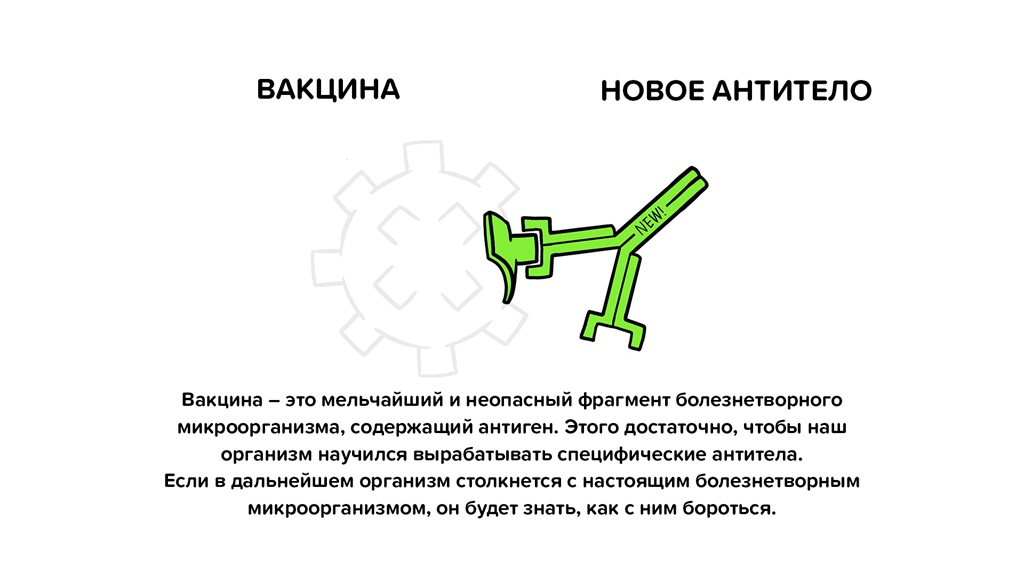 Vaccines Antibody illustration 02_29 Oct